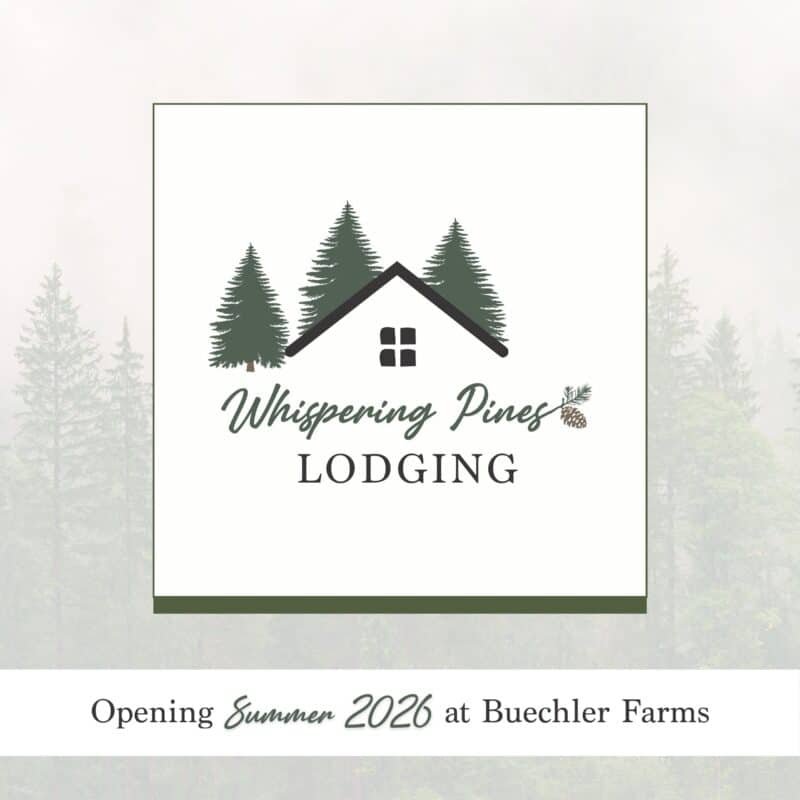 Whispering Pines Lodging opening summer 2026 at Buechler Farms